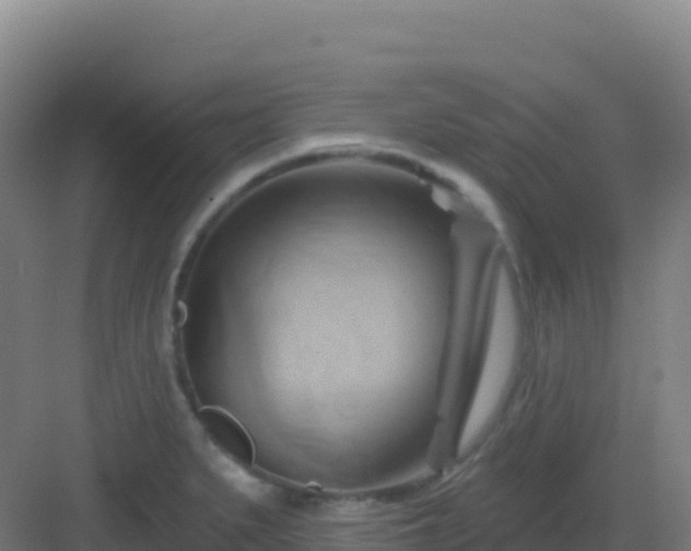 X0000083041279200702091359