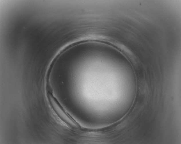 X0000083041280200702091359