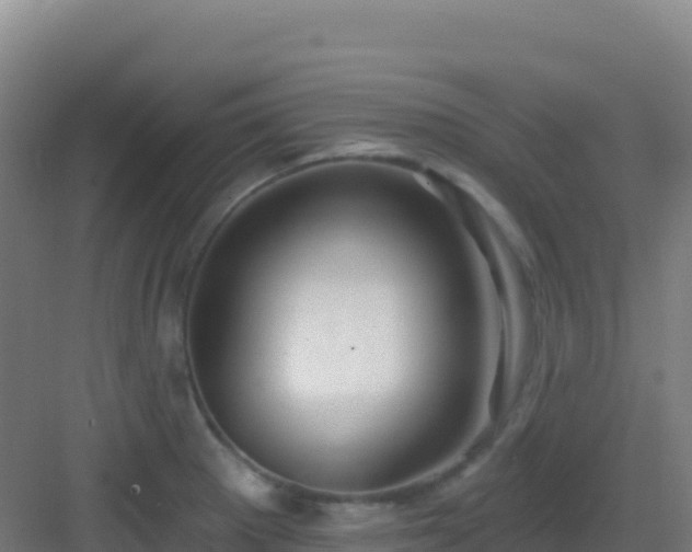 X0000083041281200702091359