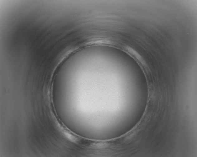 X0000083041282200702091359