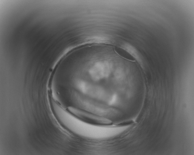 X0000083041283200702091359