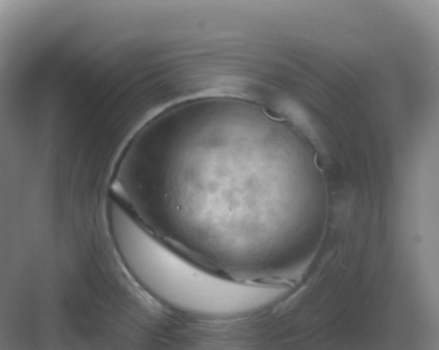 X0000083041284200702091359