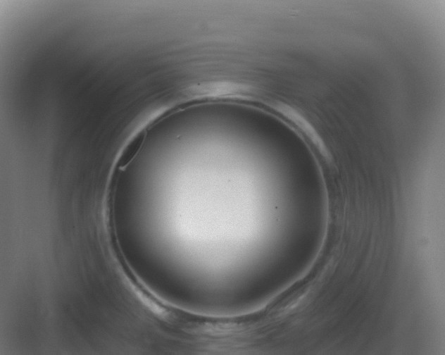 X0000083041285200702091359