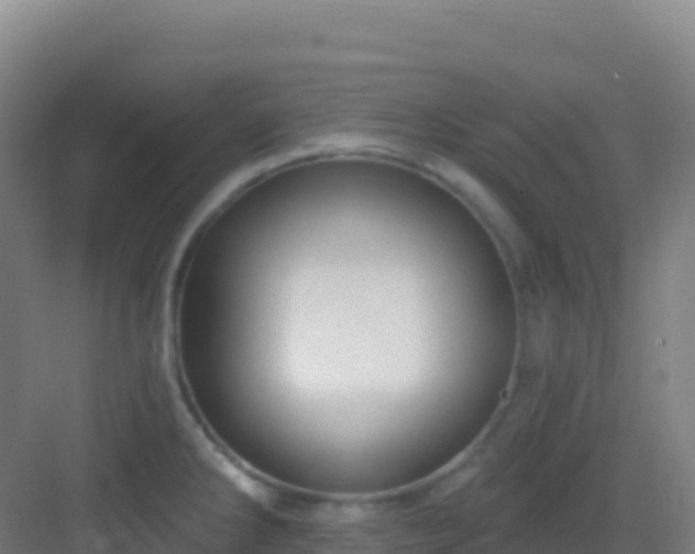 X0000083041286200702091359