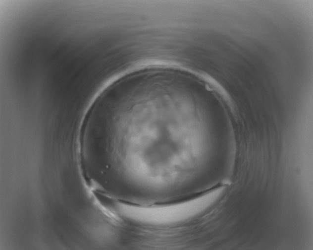 X0000083041287200702091359