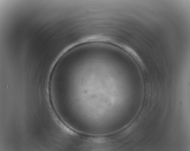 X0000083041288200702091359