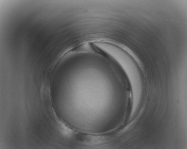 X0000083041289200702091359