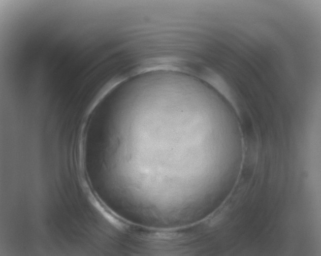 X0000083041290200702091359