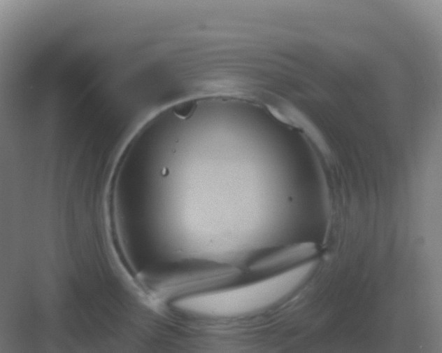 X0000083041291200702091359