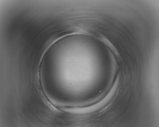 X0000083041292200702091359