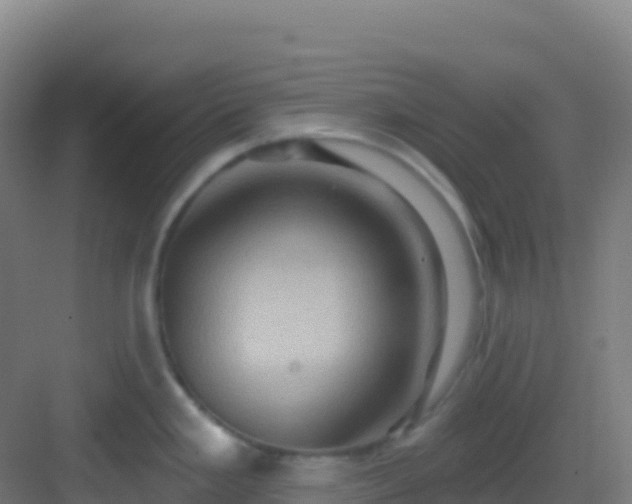 X0000083041293200702091359