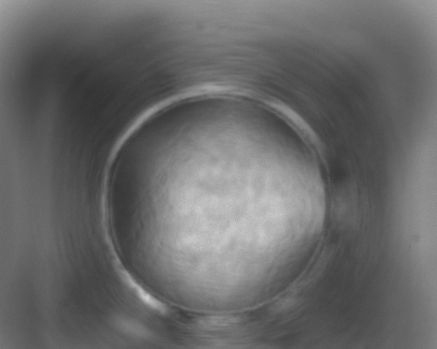 X0000083041294200702091359