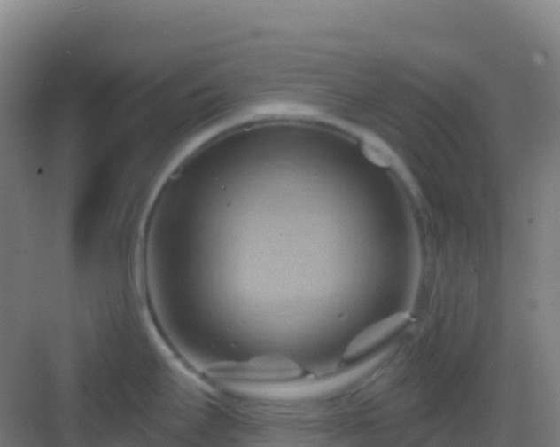 X0000083041295200702091359