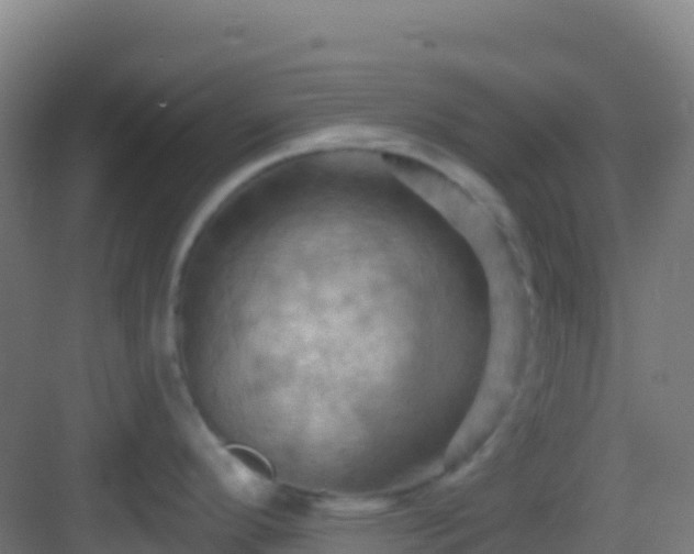 X0000083041296200702091359