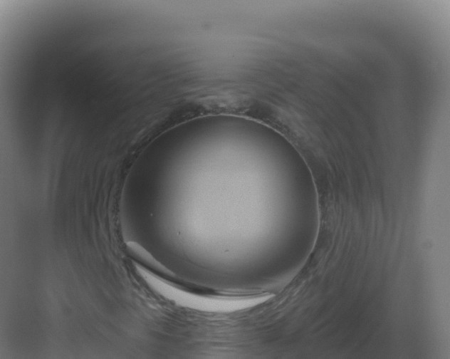 X0000083041297200702091358