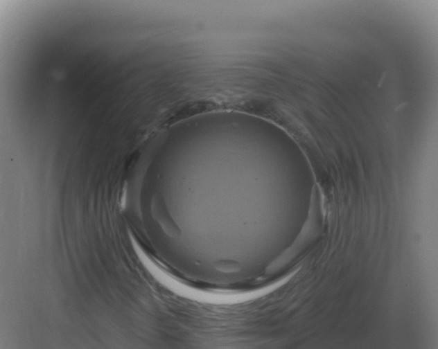 X0000083041298200702091358