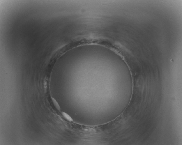 X0000083041302200702091358