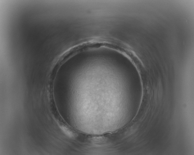 X0000083041304200702091358