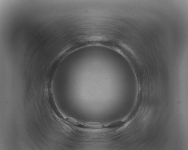 X0000083041305200702091358