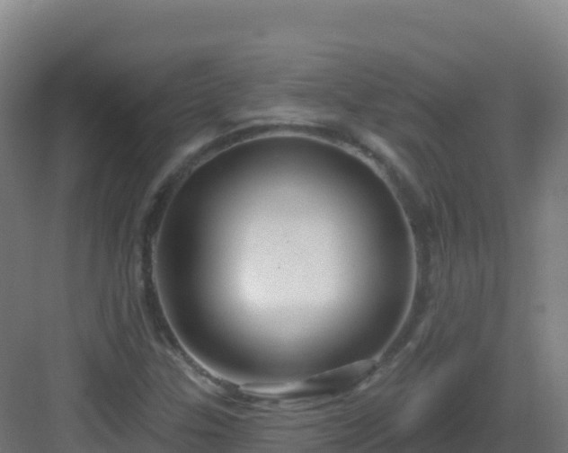 X0000083041307200702091358