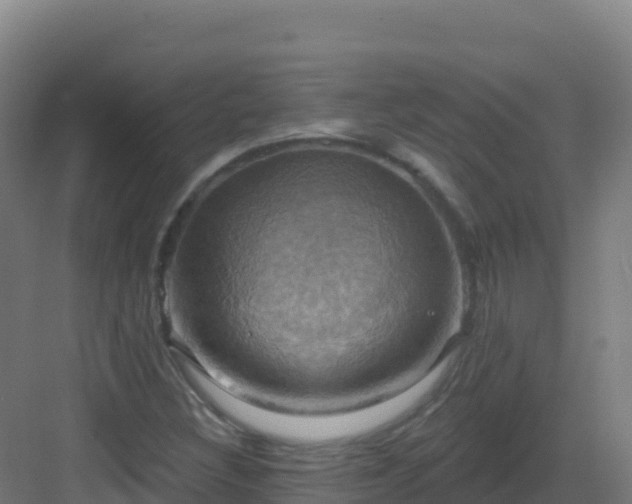 X0000083041308200702091358