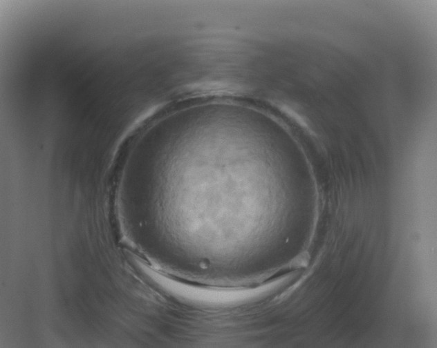 X0000083041309200702091358