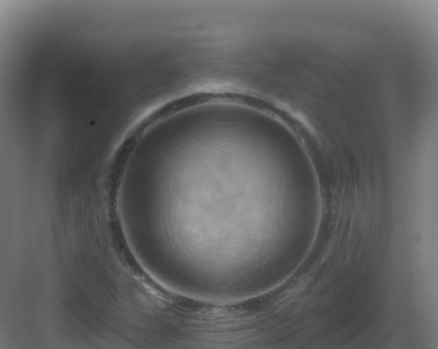 X0000083041311200702091358