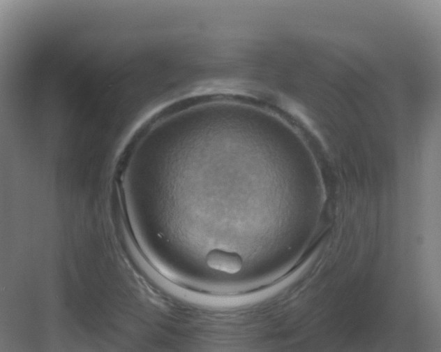 X0000083041312200702091358