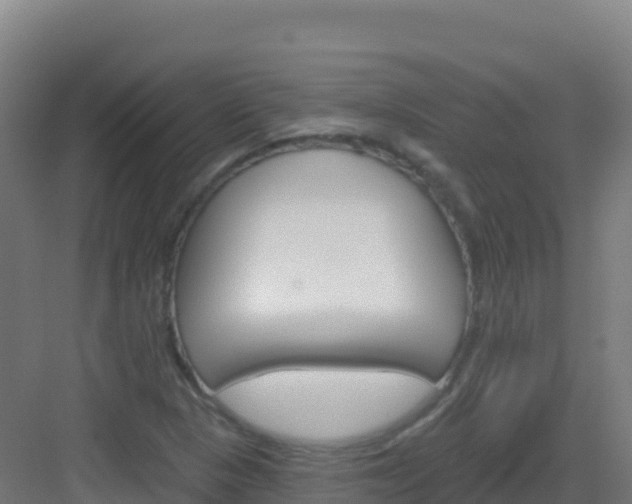 X0000083041313200702091358