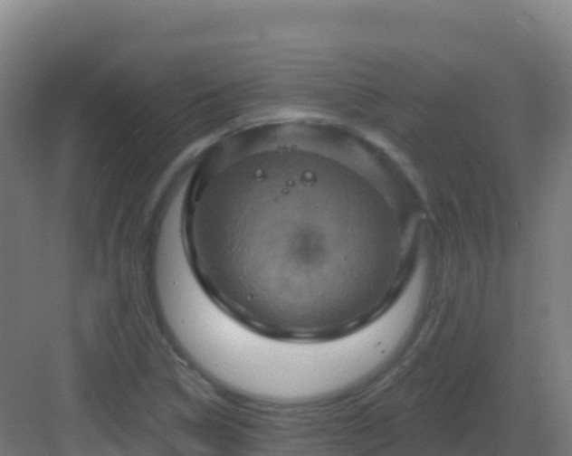 X0000083041314200702091358