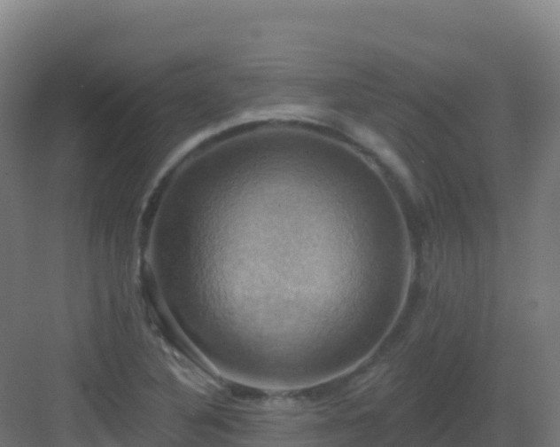 X0000083041316200702091358