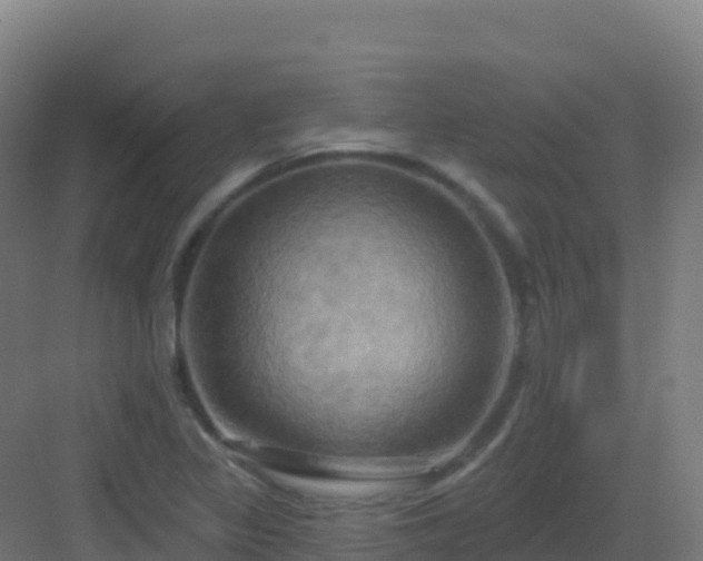 X0000083041317200702091358