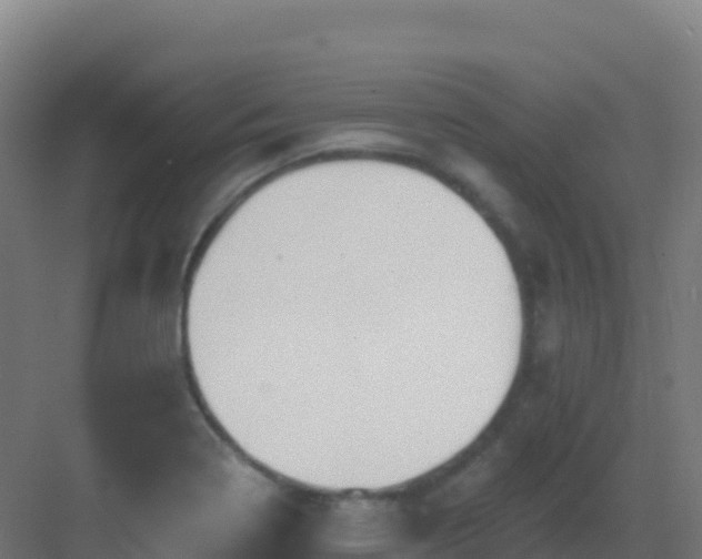 X0000083041322200702091358