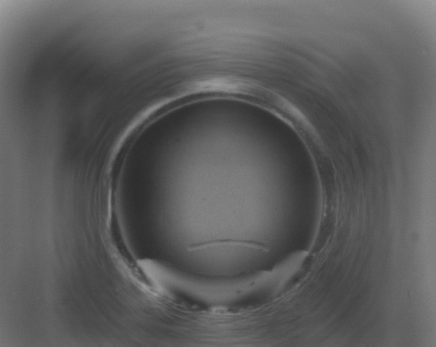 X0000083041323200702091358