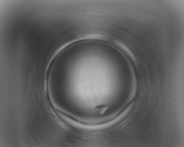 X0000083041324200702091358