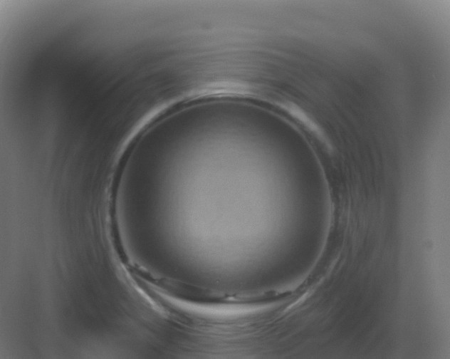 X0000083041325200702091358