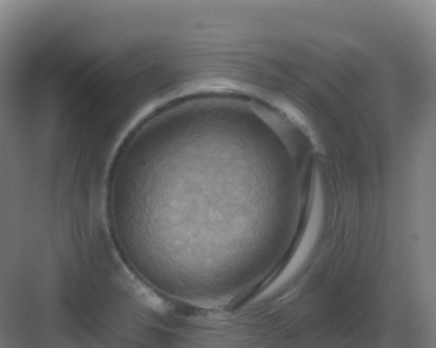 X0000083041326200702091359