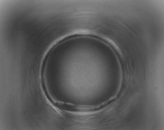 X0000083041327200702091359