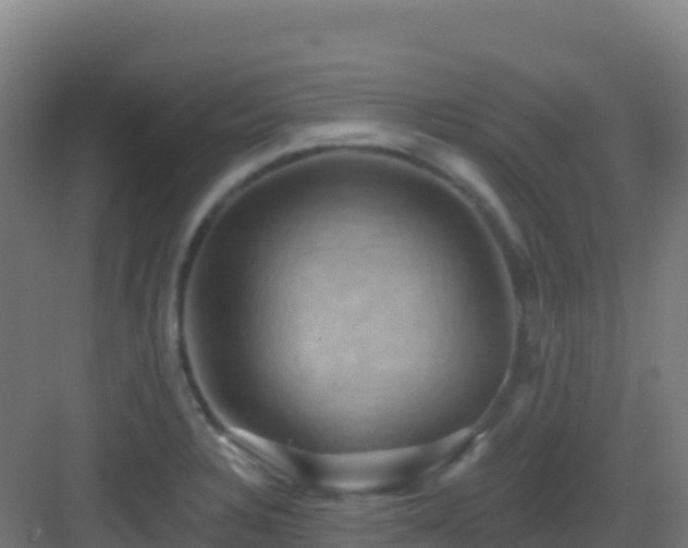 X0000083041328200702091359