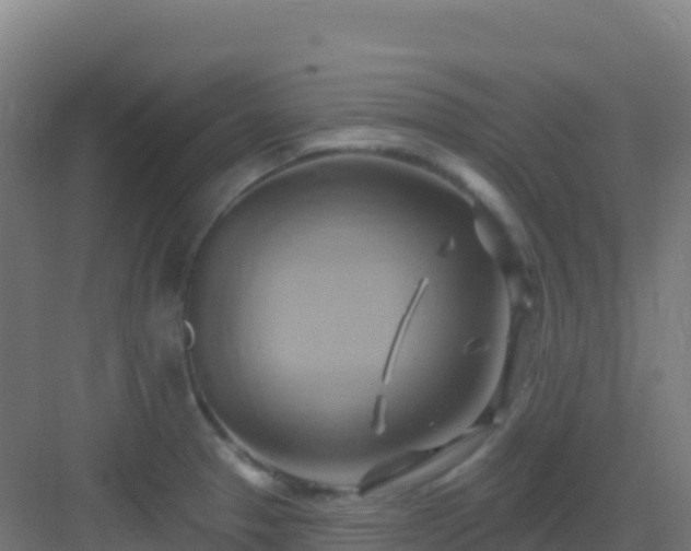 X0000083041329200702091359