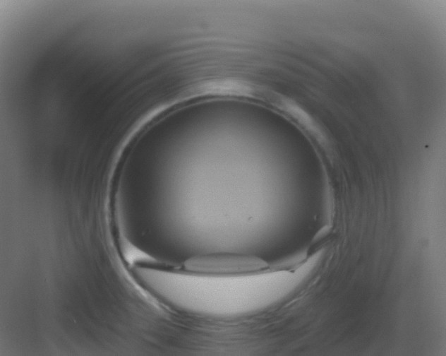 X0000083041331200702091359