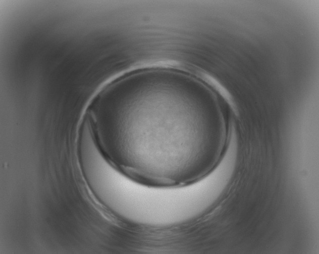 X0000083041332200702091359