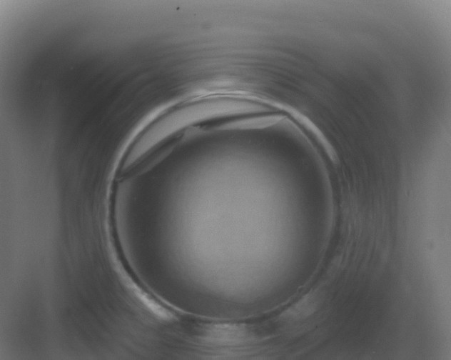 X0000083041333200702091359