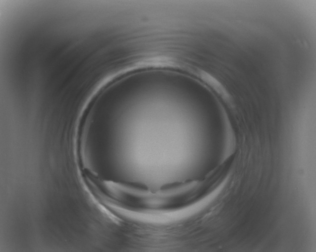 X0000083041334200702091359