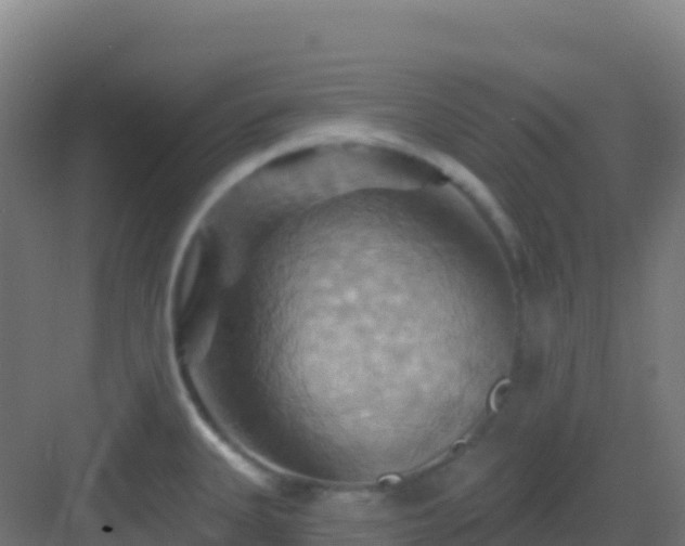 X0000083041335200702091359