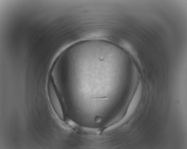 X0000083041336200702091359