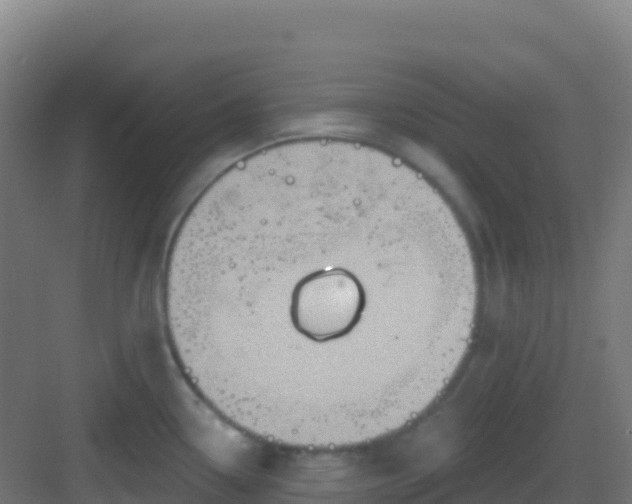 X0000083041338200702091359