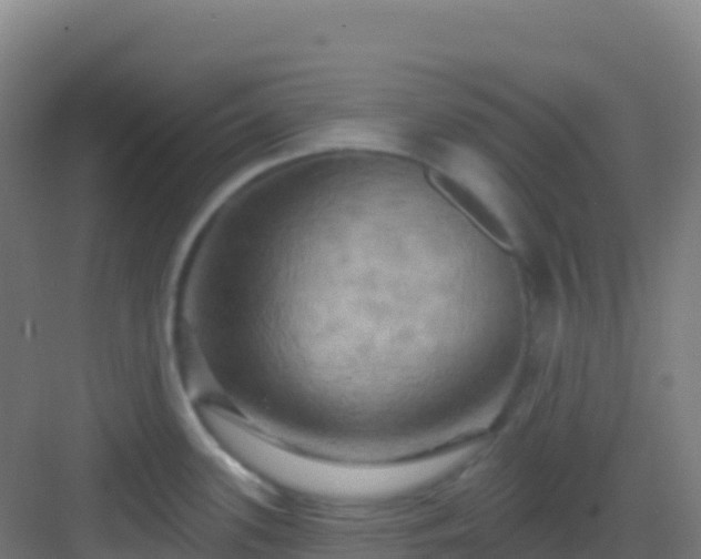 X0000083041339200702091359