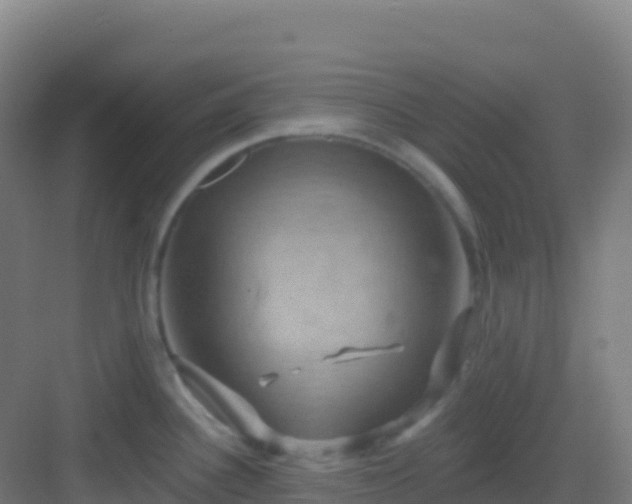 X0000083041340200702091359