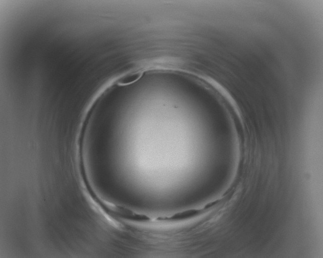 X0000083041341200702091359